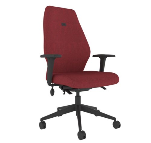 Solo - Ergonomic Posture Chair - SL102