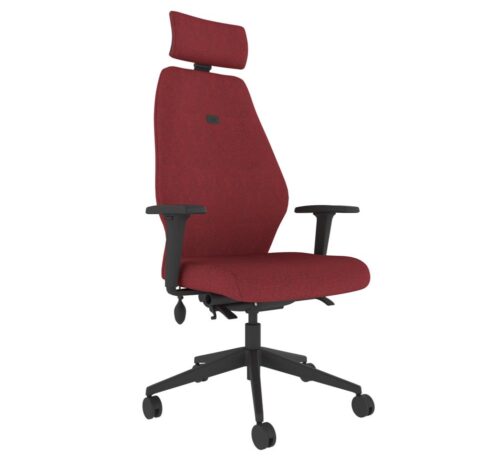 Solo - Ergonomic Posture Chair - SL152