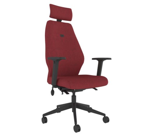 Solo Ergonomic Posture Chair - SL154