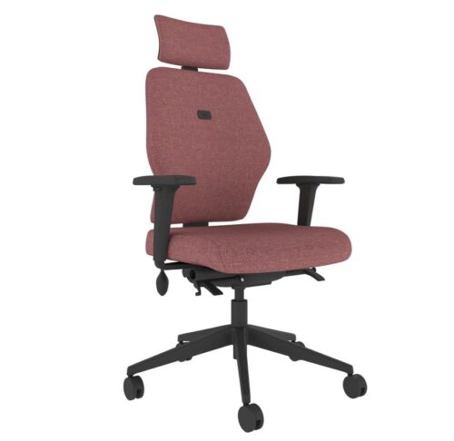 Solo - Ergonomic Posture Chair - SL252