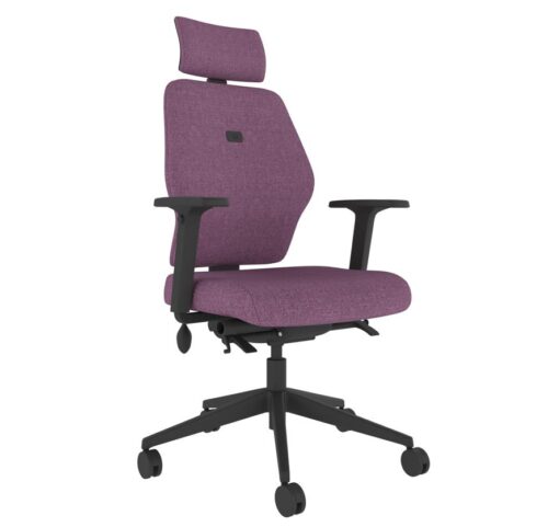 Solo - Ergonomic Posture Chair - SL254