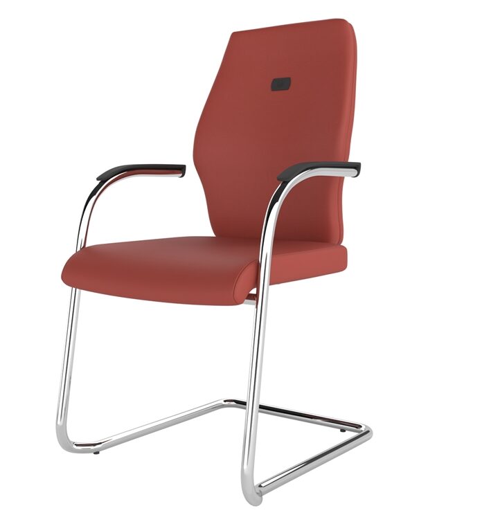 Zest - Image 15