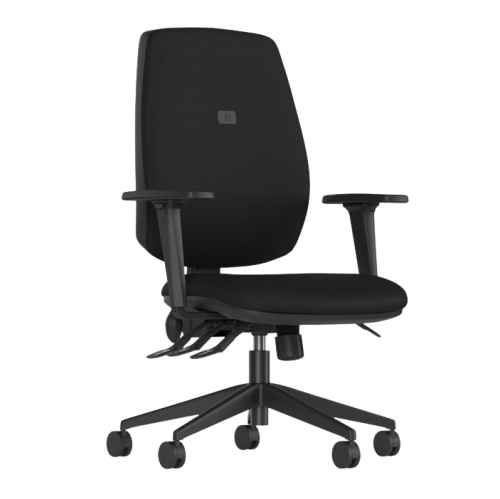 Intro - Ergonomic Chair - Express Delivery