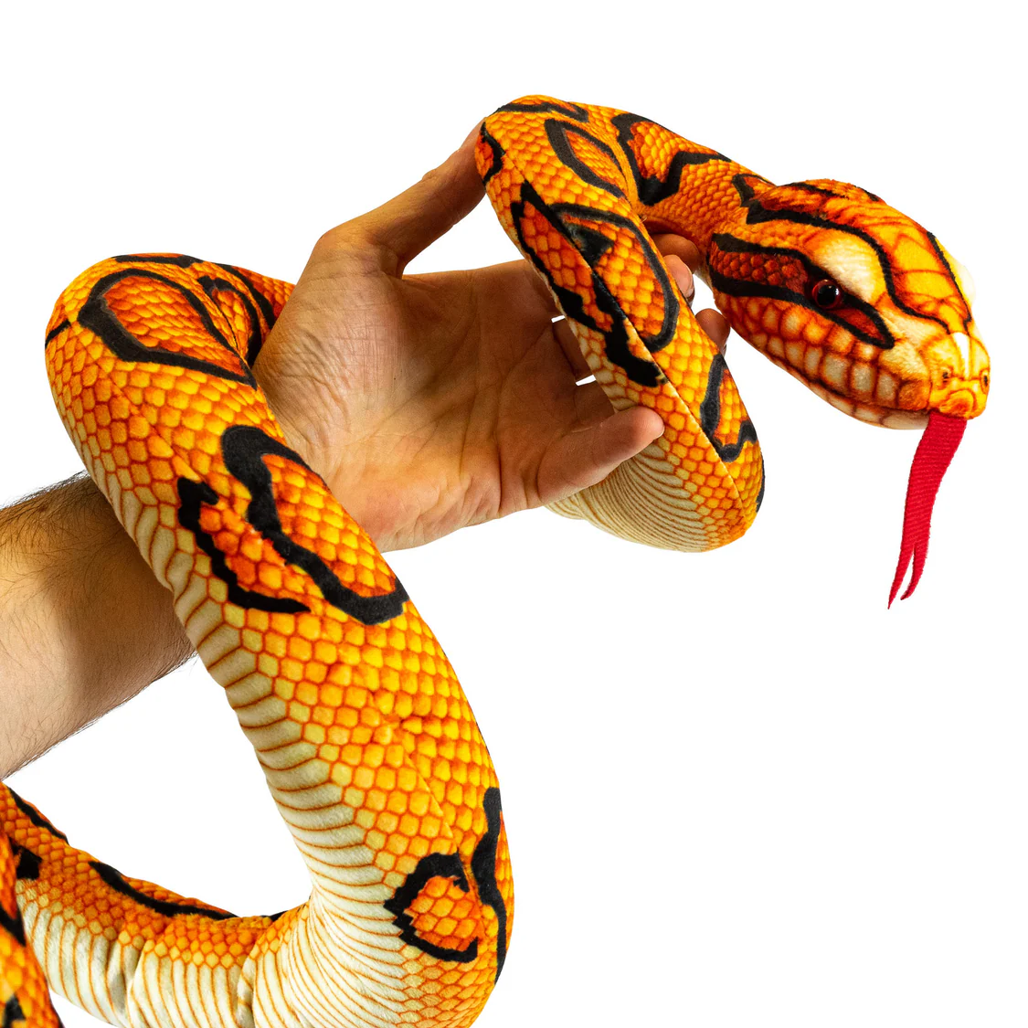 Snake 6 Assorted - Image 2