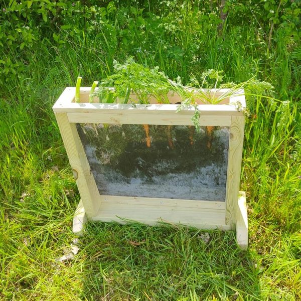 See-Through Discovery Planter - Image 3