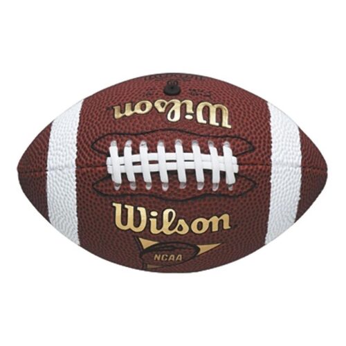 Wilson NFL Micro American Football