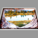 Lake View