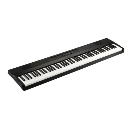 Korg L1 Liano portable digital piano