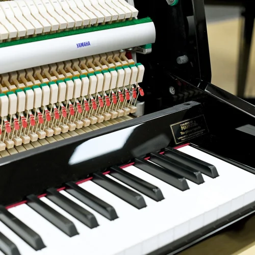 Hybrid Pianos