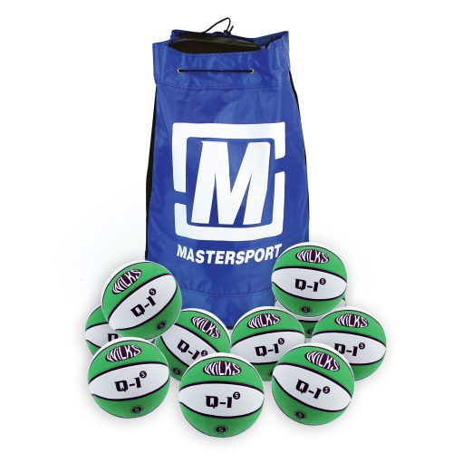 Wilks Q-1 Basketball Size 5 – Bag of 10