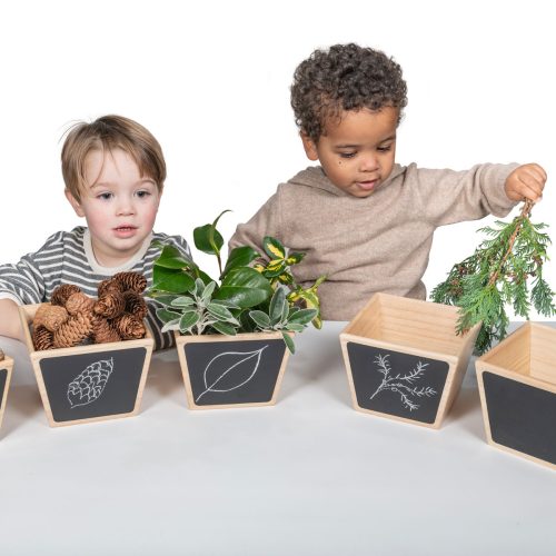 Wooden Sorting Pots Pack of 5