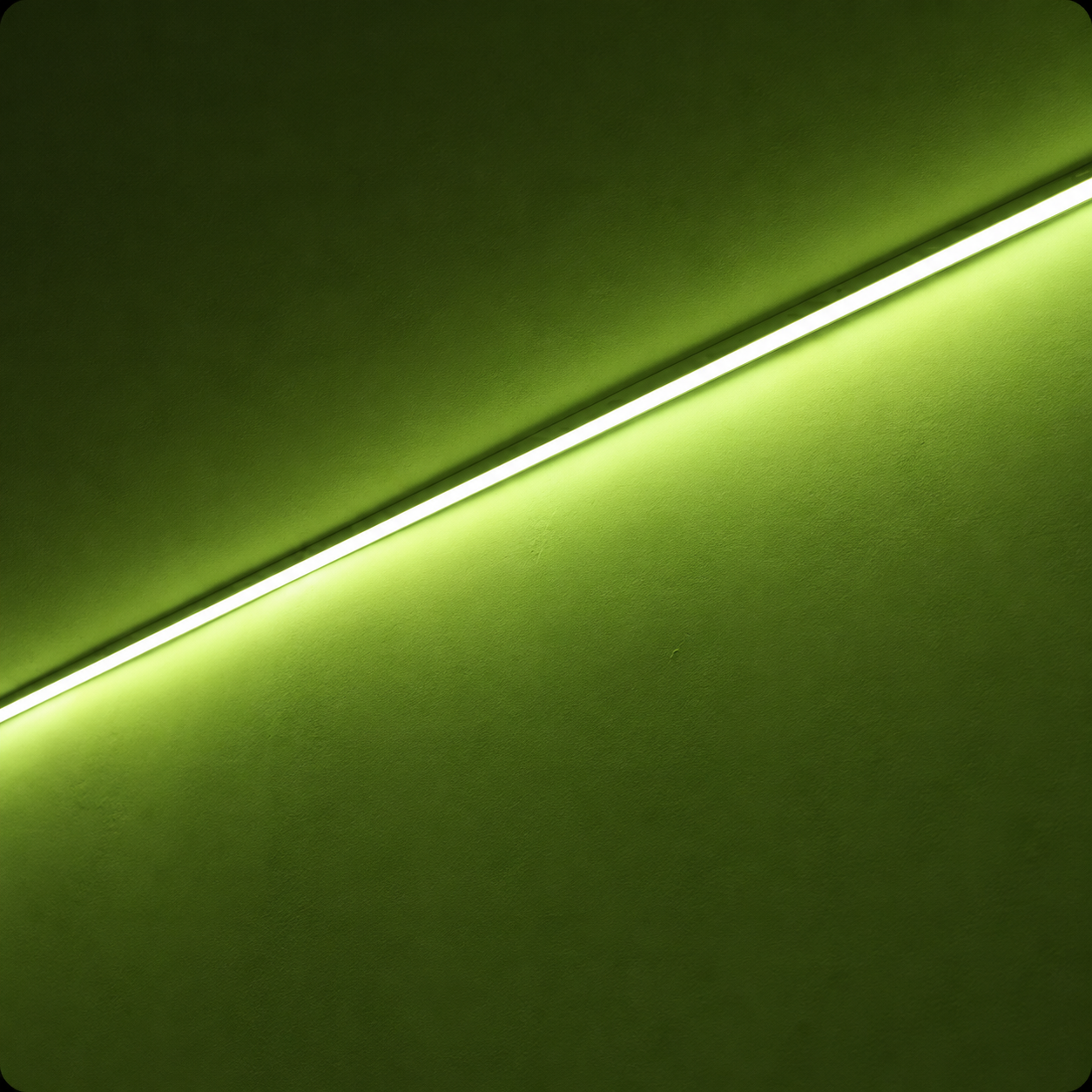 Apollo Creative LED wall wash sensory room lighting