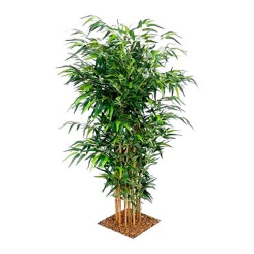 Bushy Bamboo