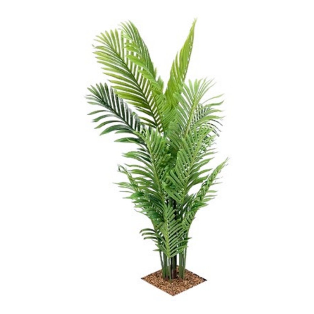 Mini Palm